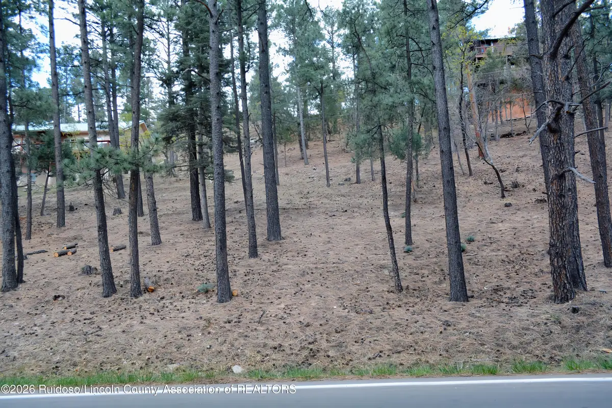 Lot 61 Ft. Stanton Road, Alto, NM 88312 - #1