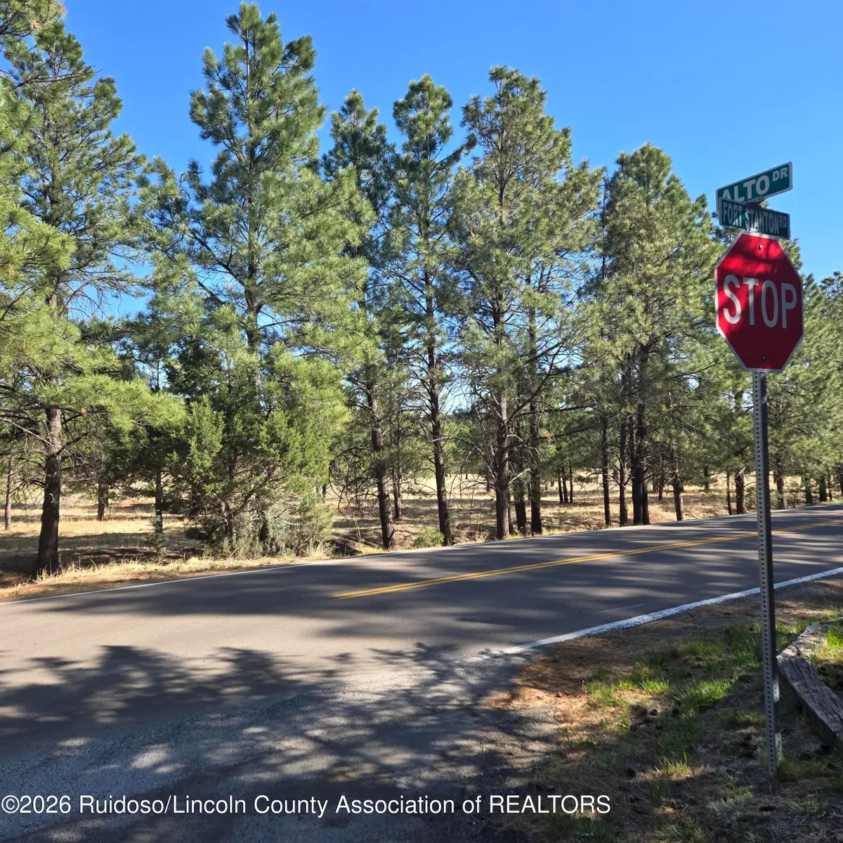 . Old Fort Stanton Road, Alto, NM 88312 - #1
