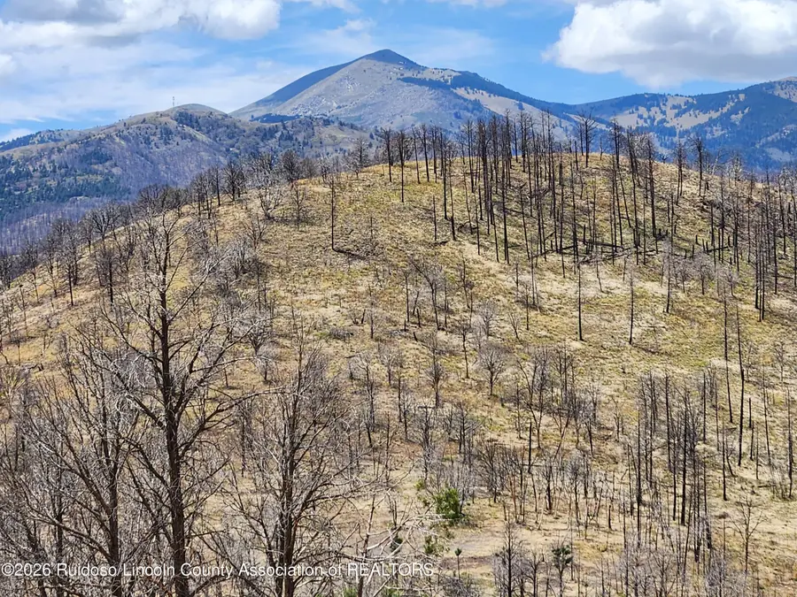 110 Pine Shadow Trail, Ruidoso, NM 88345 - #3