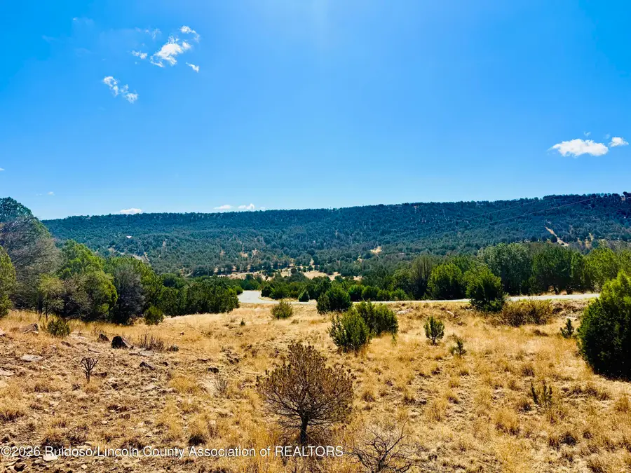 107 Santiago Circle, Alto, NM 88312 - #2