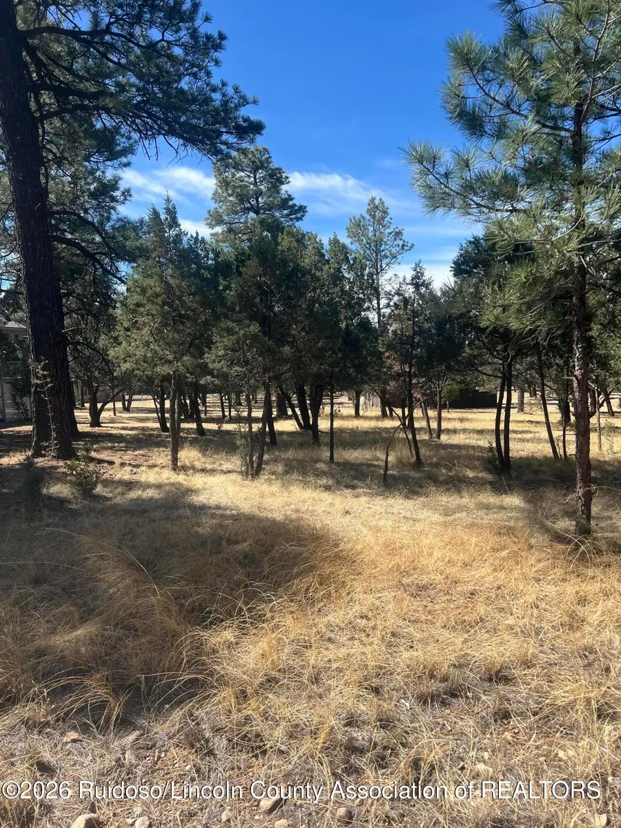 Lot 7 Mira Monte Road, Alto, NM 88312 - #2