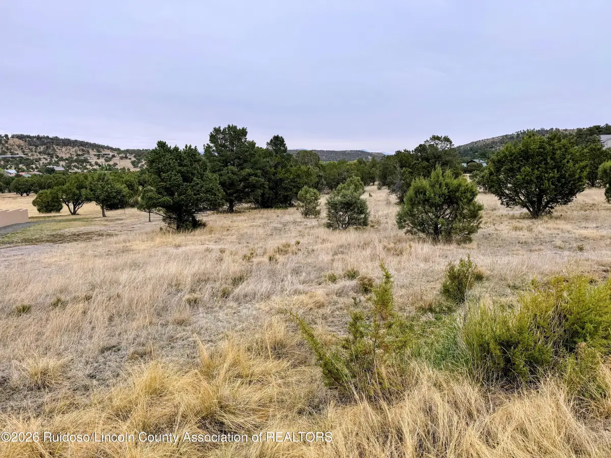205 Saddleback Road, Alto, NM 88312 - #1