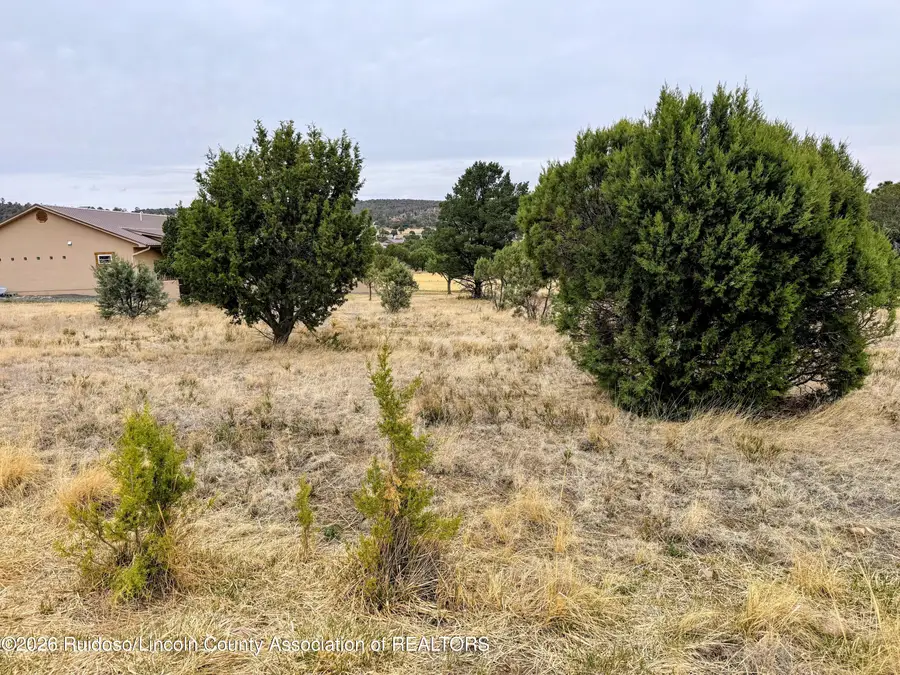 205 Saddleback Road, Alto, NM 88312 - #2