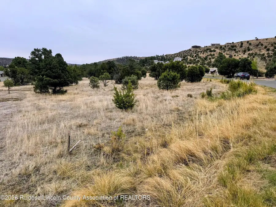 205 Saddleback Road, Alto, NM 88312 - #3