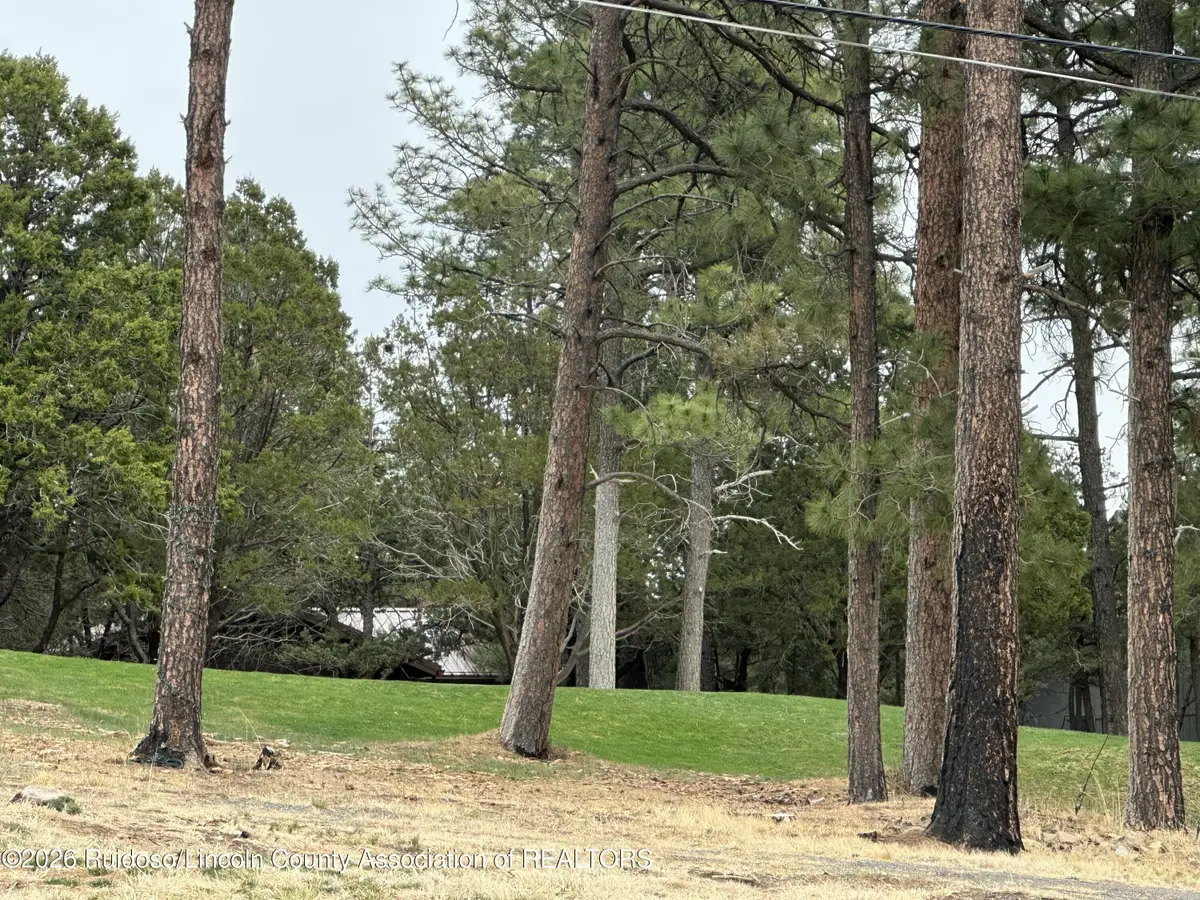 125 Crown Ridge Road, Alto, NM 88312 - #1