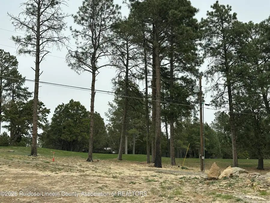 125 Crown Ridge Road, Alto, NM 88312 - #2