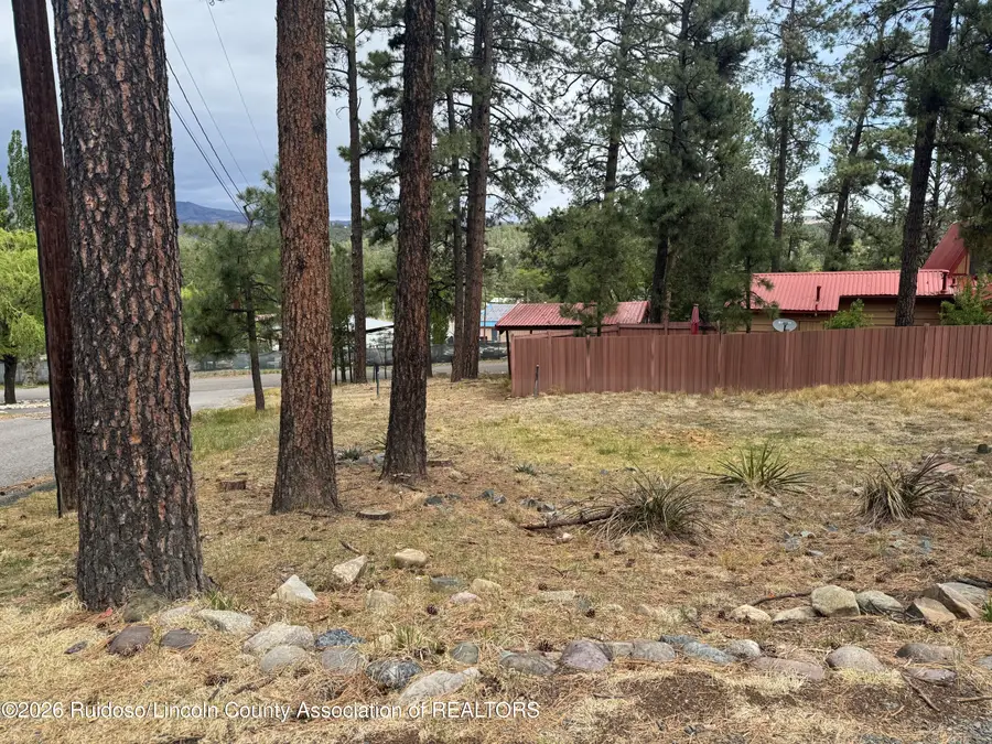 101 Nabors Lane, Ruidoso, NM 88345 - #3