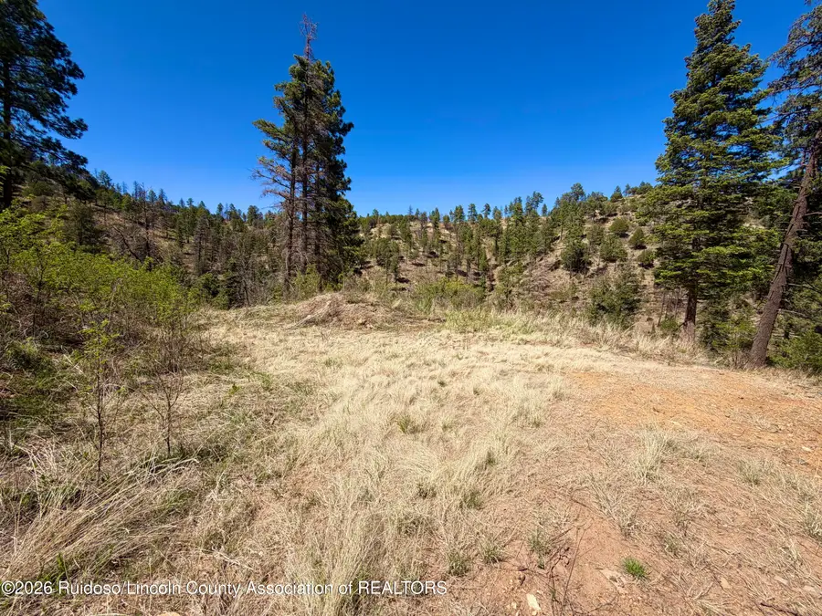102 King Richard Drive, Ruidoso, NM 88345 - #2