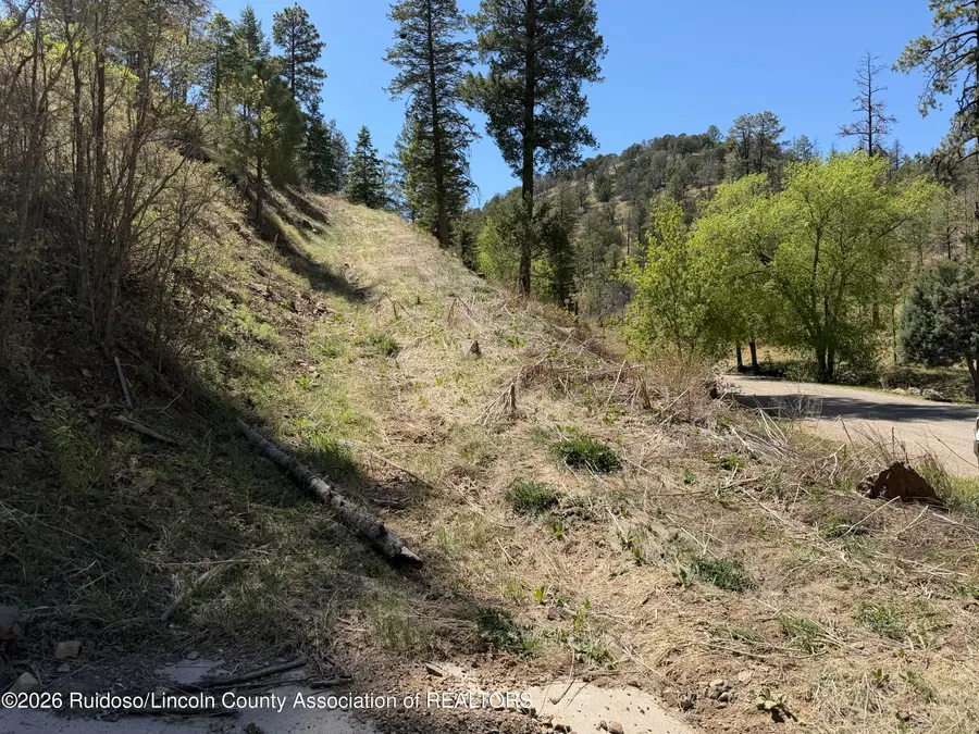 102 King Richard Drive, Ruidoso, NM 88345 - #3