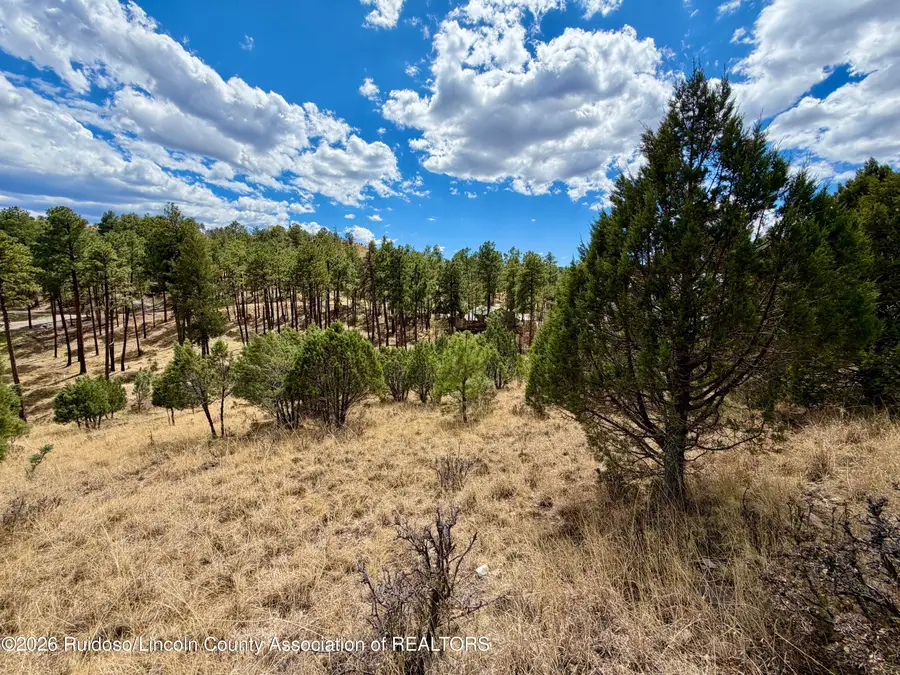 134 Stable Court, Alto, NM 88312 - #2
