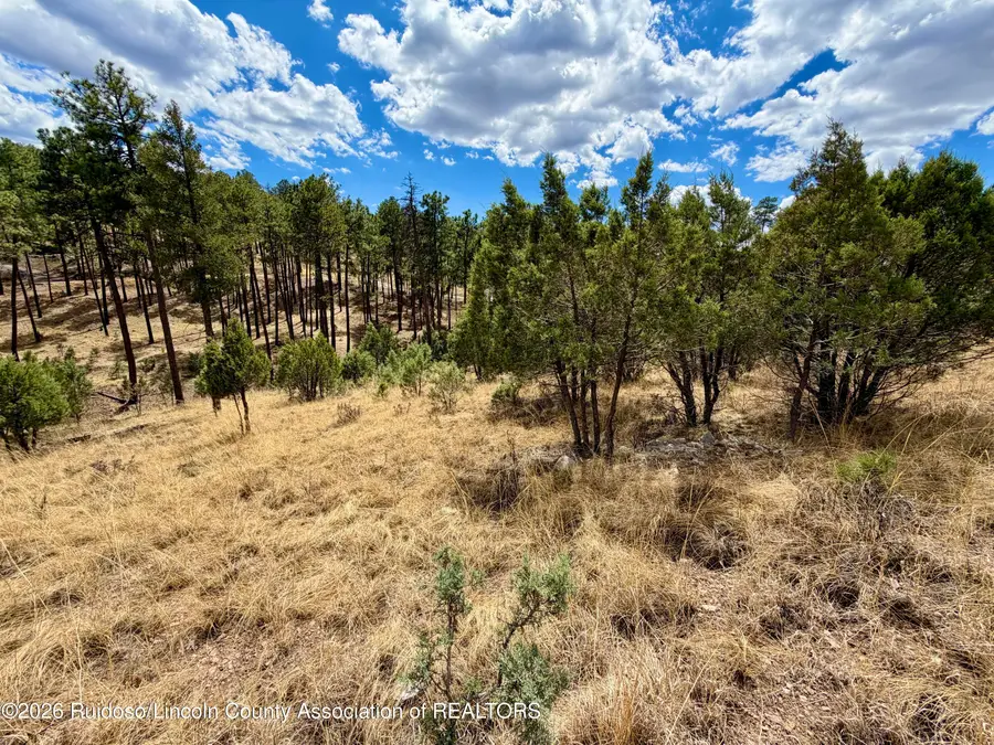 134 Stable Court, Alto, NM 88312 - #3