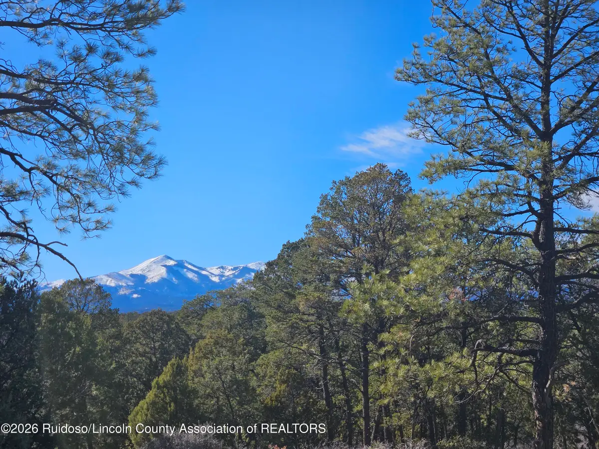FS-120 Township 10s, Range 14e,sec.33, Ruidoso Downs, NM 88346 - #1