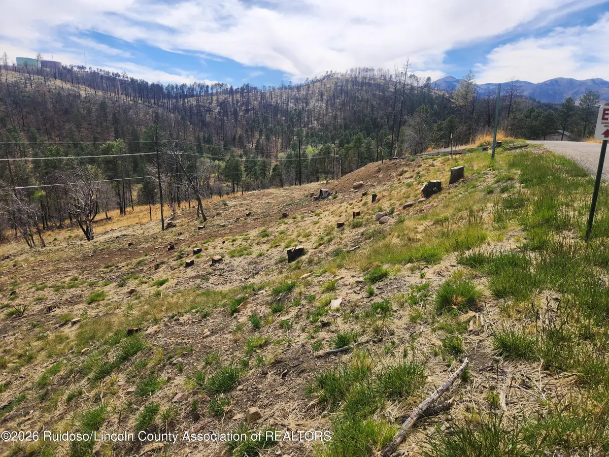 L41 Lakeshore Drive, Alto, NM 88312 - #1