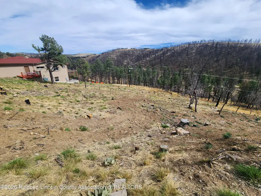 L41 Lakeshore Drive, Alto, NM 88312 - #2