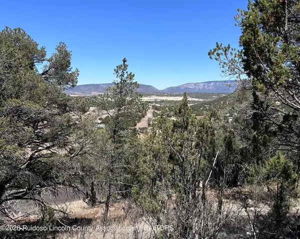 100,104 Promise Lane Lane, Capitan, NM 88316