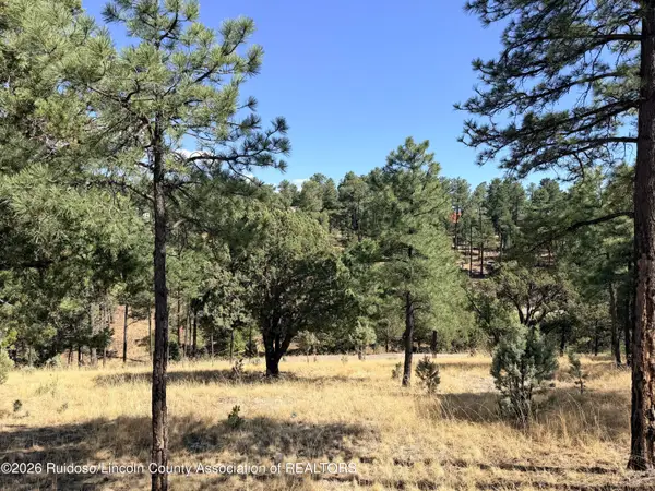 Lot 7 El Camino Drive, Alto, NM 88312