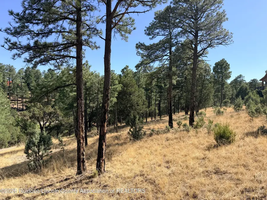 Lot 7 El Camino Drive, Alto, NM 88312 - #2