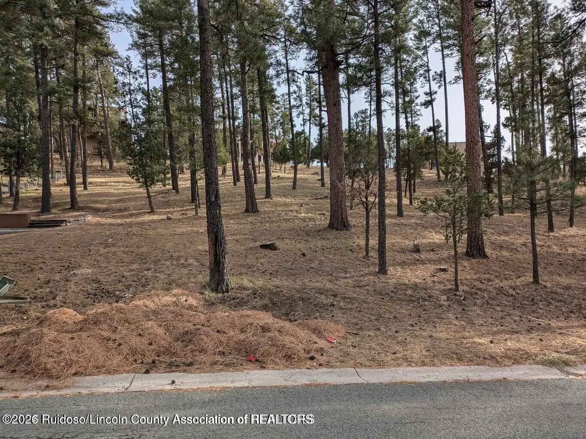 320 White Mountain Meadows Drive, Ruidoso, NM 88345 - #1