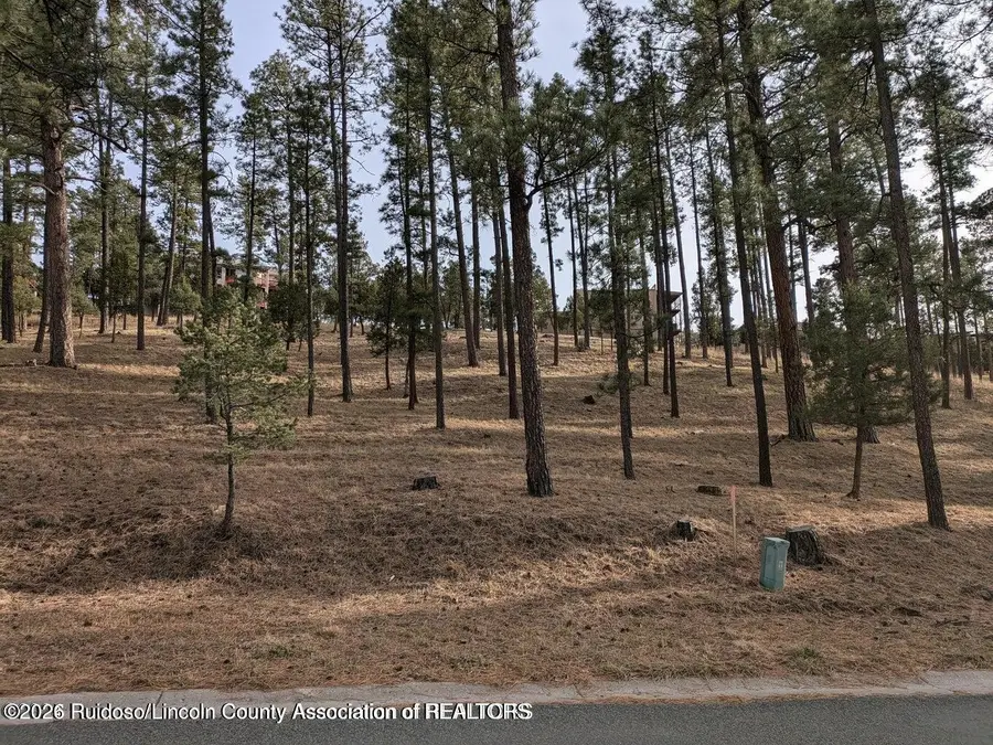 320 White Mountain Meadows Drive, Ruidoso, NM 88345 - #2