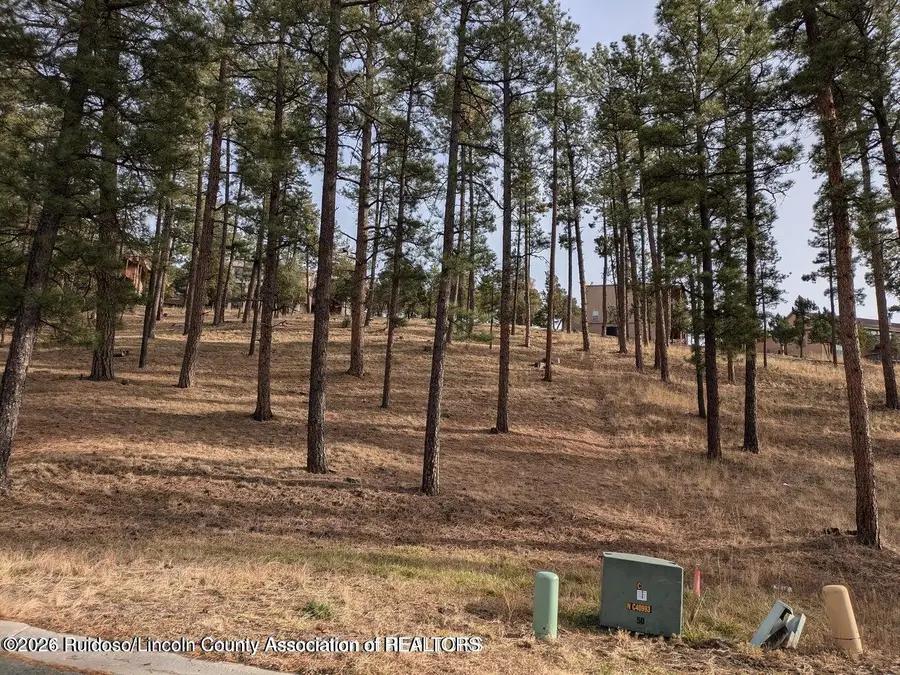 320 White Mountain Meadows Drive, Ruidoso, NM 88345 - #3