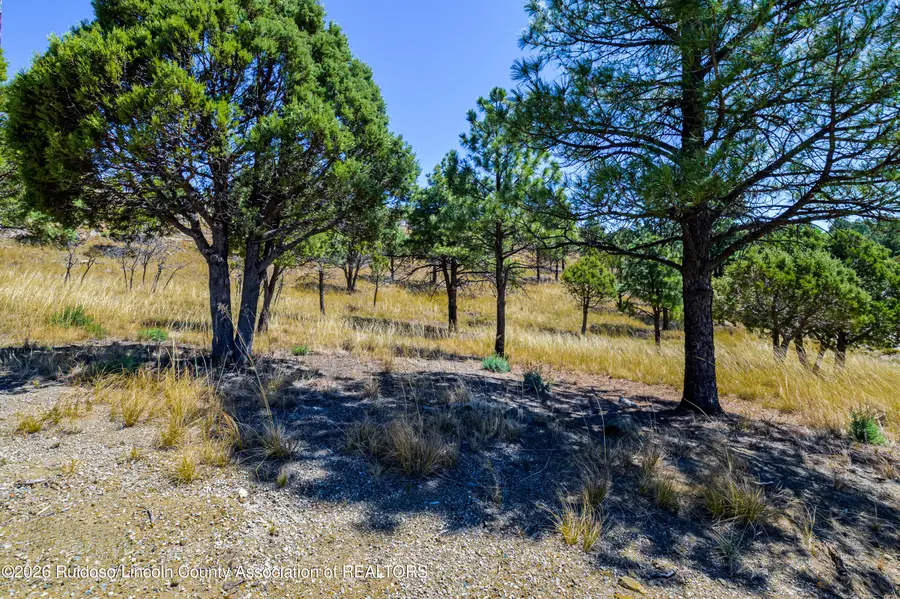 104 Sundance Drive, Ruidoso, NM 88345 - #2