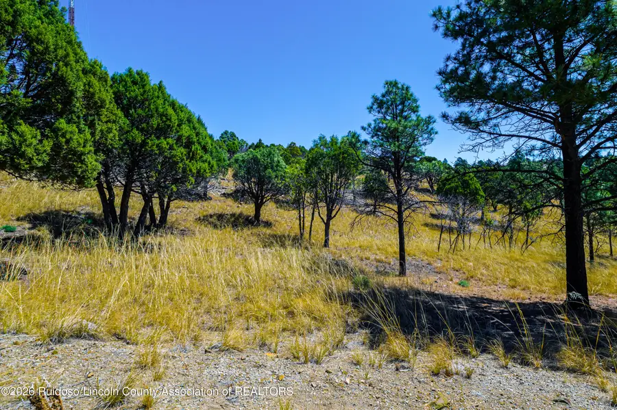 104 Sundance Drive, Ruidoso, NM 88345 - #3