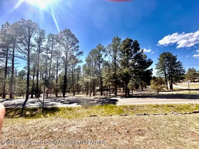 308 Hull Road, Ruidoso, NM 88345 - #2