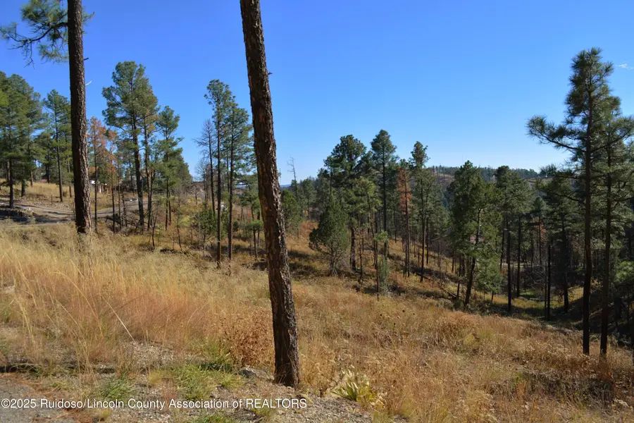 124 Crown Ridge Road, Alto, NM 88312 - #3