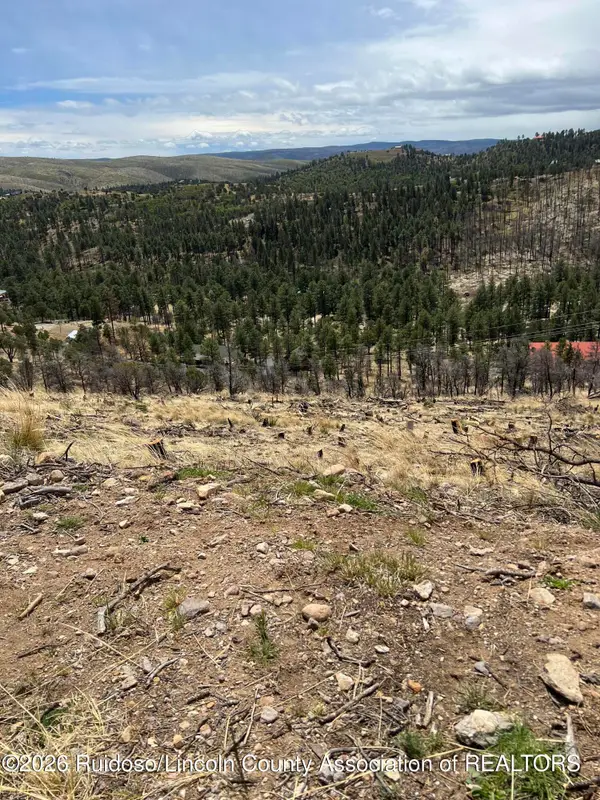 Lot 9A Lake Shore Court, Alto, NM 88312