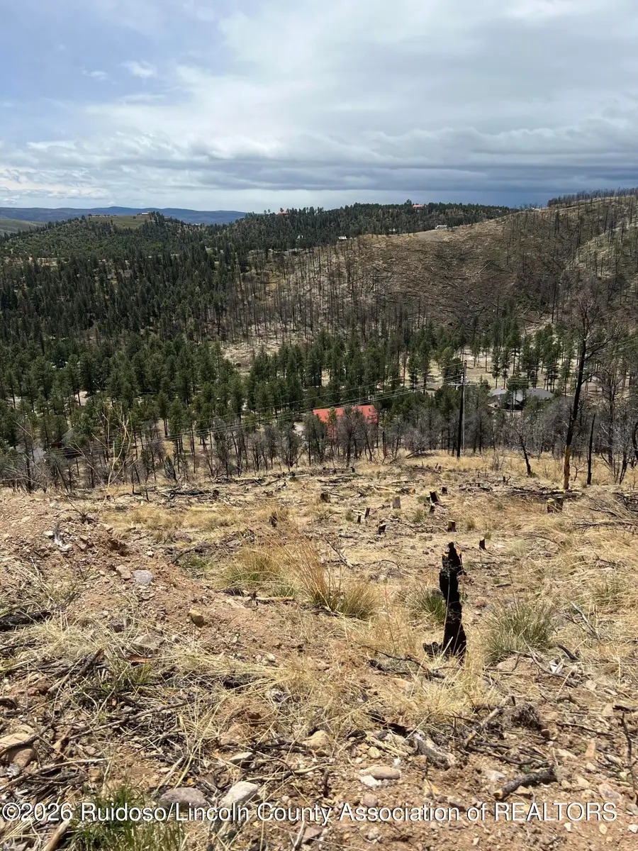 Lot 9A Lake Shore Court, Alto, NM 88312 - #2