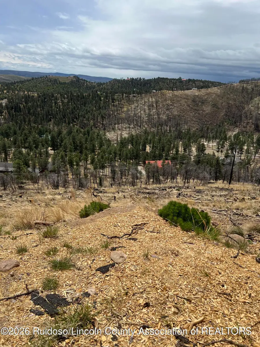 Lot 9A Lake Shore Court, Alto, NM 88312 - #3
