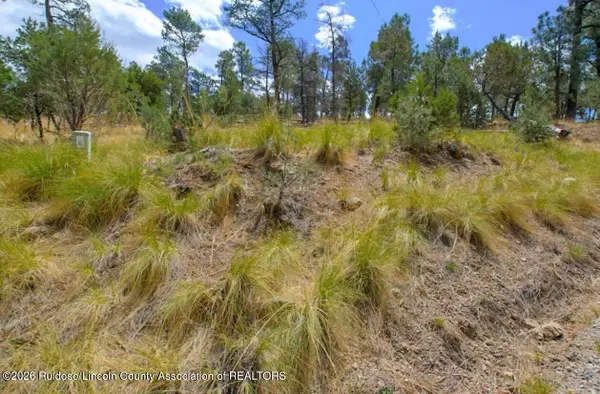 Lot 6 Pine Knot Trail, Alto, NM 88312