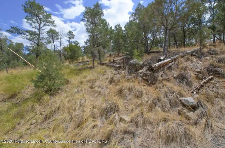 Lot 6 Pine Knot Trail, Alto, NM 88312 - #2