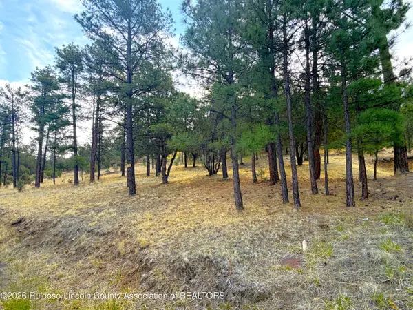 Lot 66 Fort Stanton Rd, Alto, NM 88312