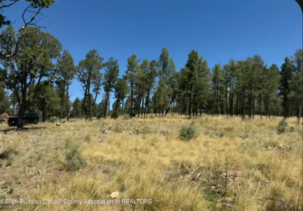 104 Merlyn Drive, Ruidoso, NM 88345 - #1