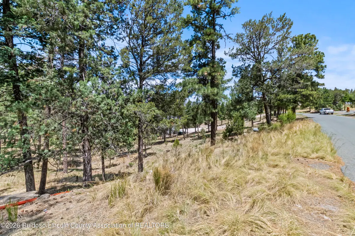 246 Excalibur Road, Ruidoso, NM 88345 - #1