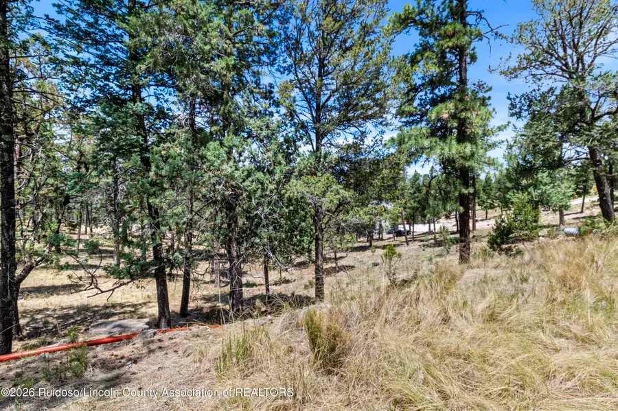 246 Excalibur Road, Ruidoso, NM 88345 - #2