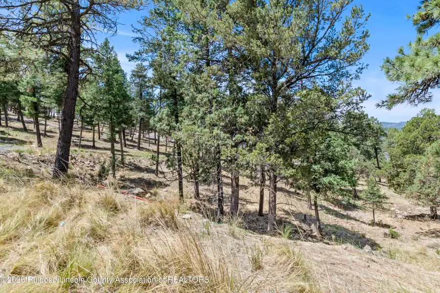 246 Excalibur Road, Ruidoso, NM 88345 - #3