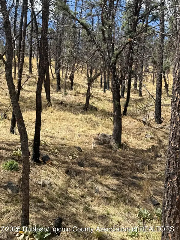 Lot 24 Lake Shore Drive, Alto, NM 88312