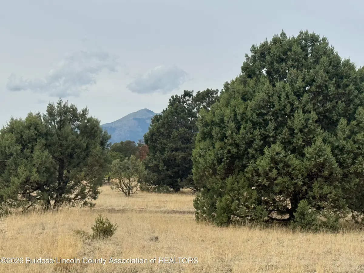 Lot 35B Gary Player Court, Alto, NM 88312 - #1