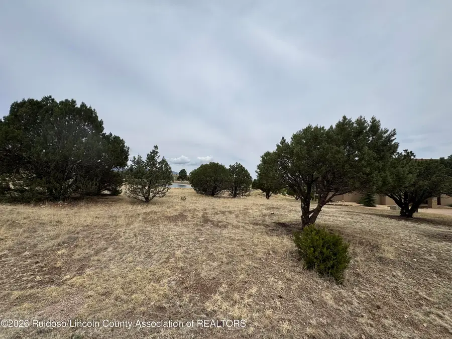 Lot 35B Gary Player Court, Alto, NM 88312 - #3