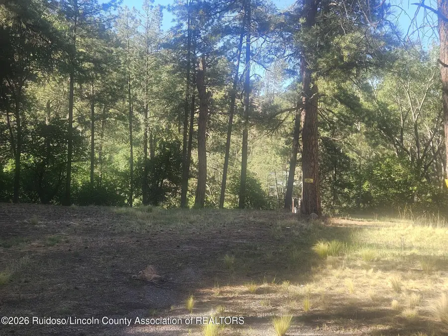 118 & 122 King Road, Ruidoso, NM 88345 - #3