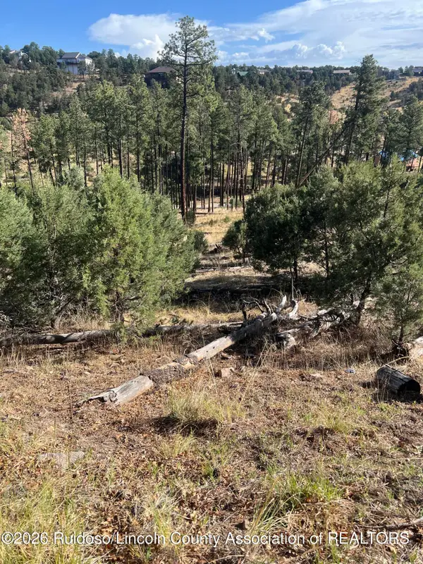 357 El Camino Drive, Alto, NM 88312