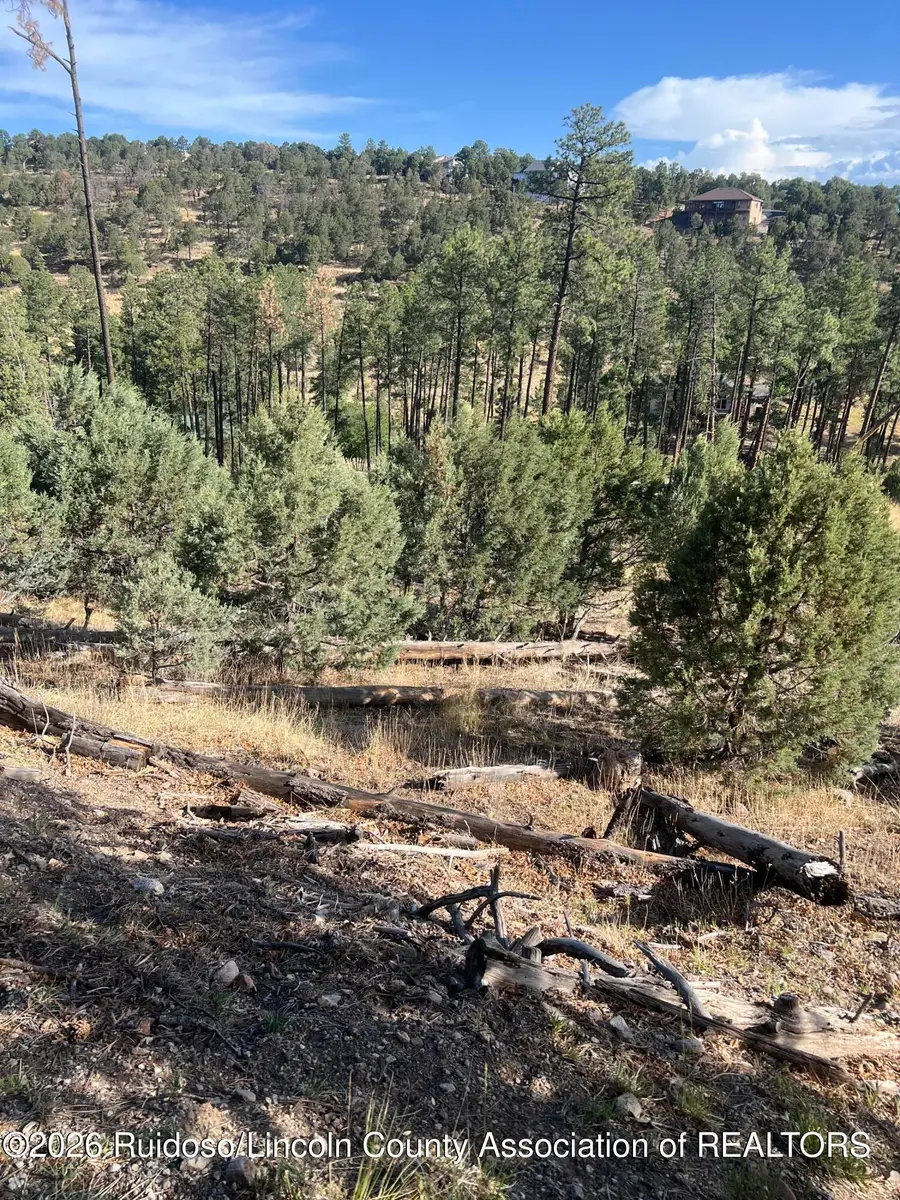 357 El Camino Drive, Alto, NM 88312 - #2