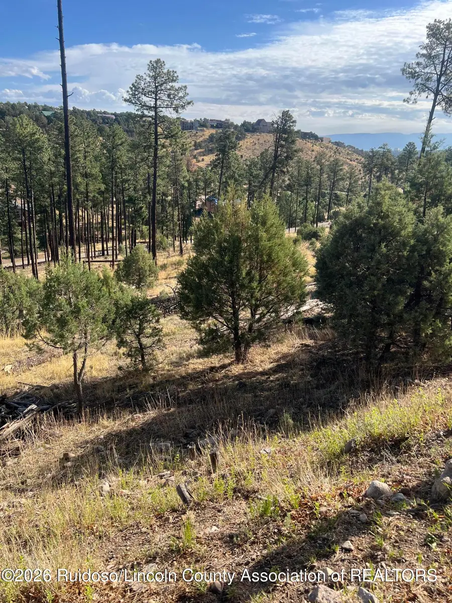 357 El Camino Drive, Alto, NM 88312 - #3