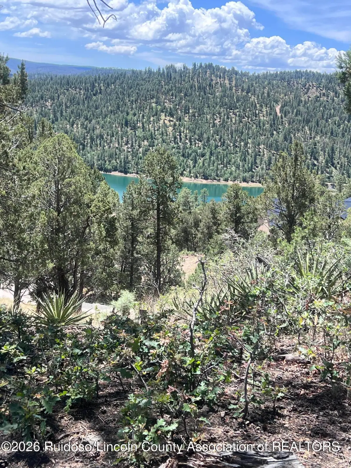 217 Mountain High Circle, Ruidoso, NM 88345 - #1