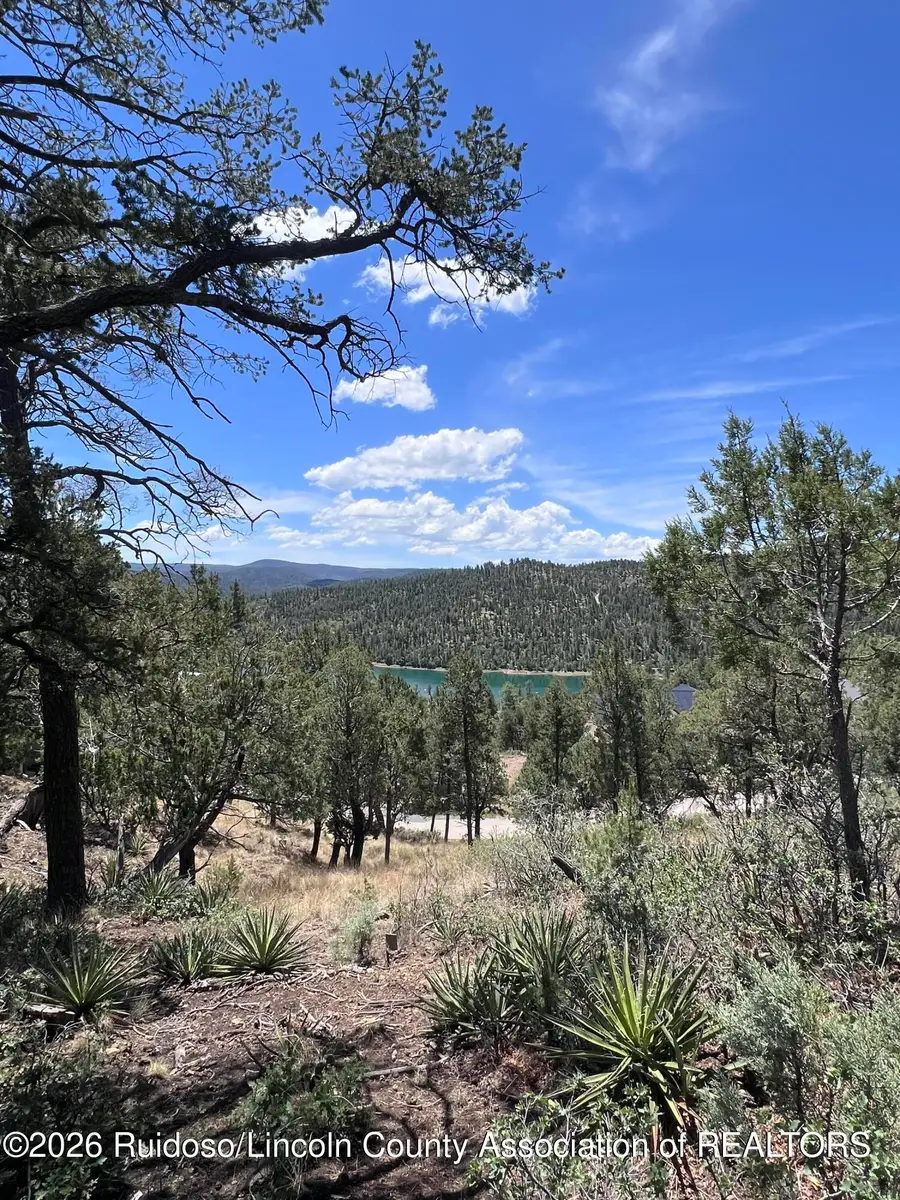 217 Mountain High Circle, Ruidoso, NM 88345 - #2