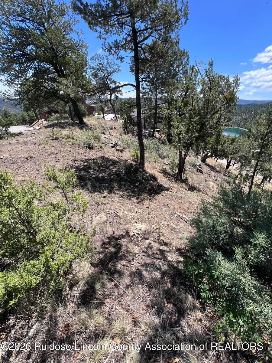 217 Mountain High Circle, Ruidoso, NM 88345 - #3