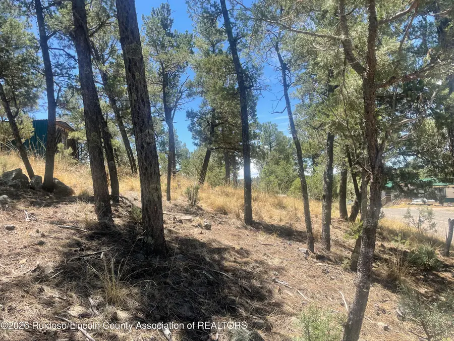 Lot 5 Pine Knot Trail, Alto, NM 88312 - #2