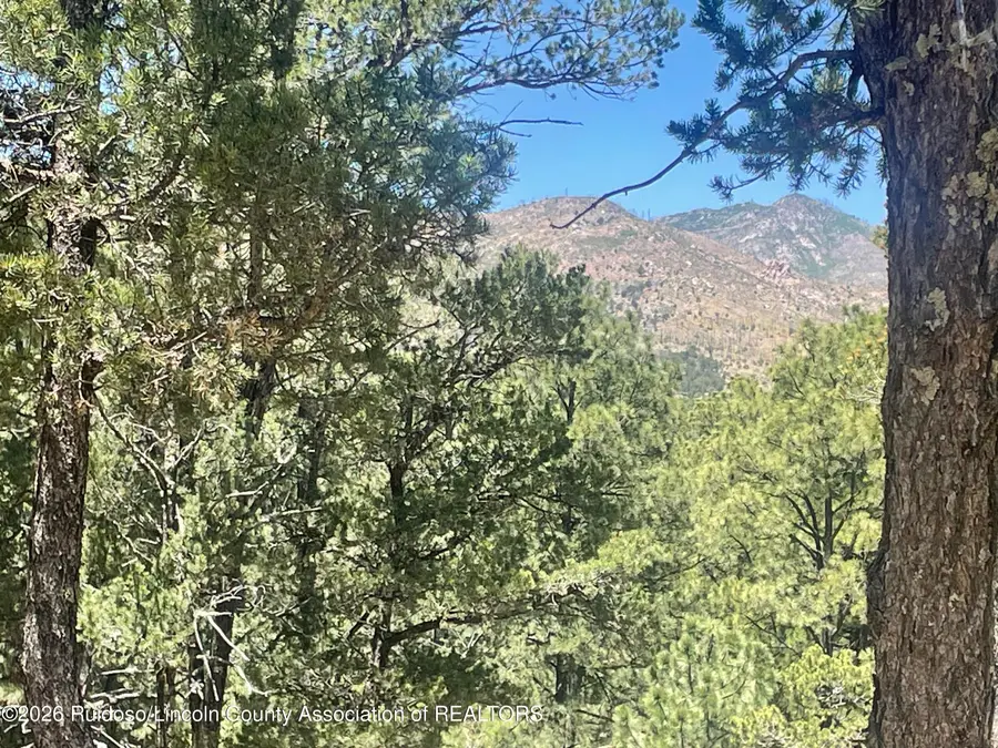 Lot 5 Pine Knot Trail, Alto, NM 88312 - #3